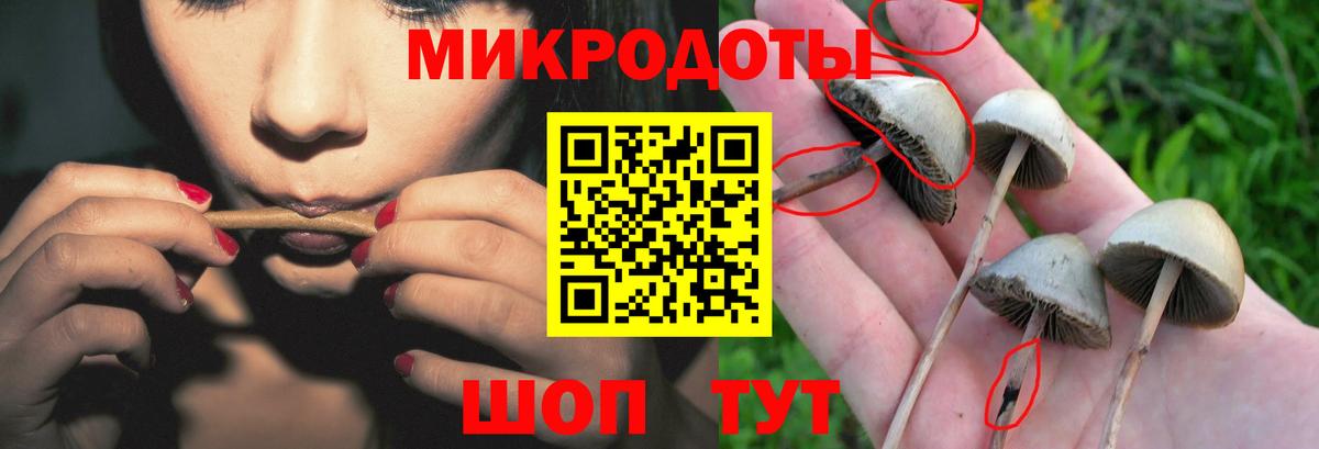 Переславль-Залесский  Псилоцибиновые грибы мухоморы  Псилоцибиновые грибы Psilocybine cubensis  Вход с VPN 